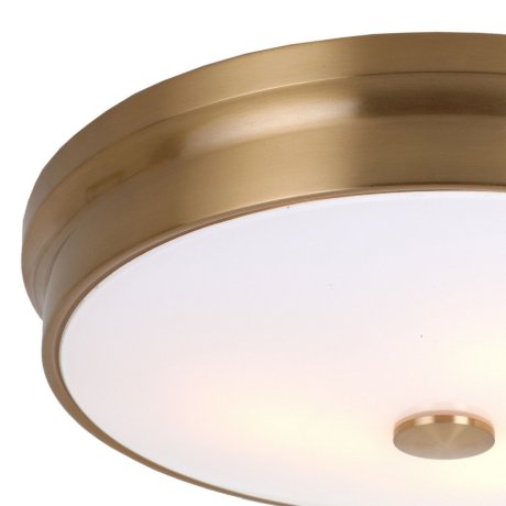 Потолочный светильник Favourite Pannikin с поддержкой Маруся 2375-3C-М