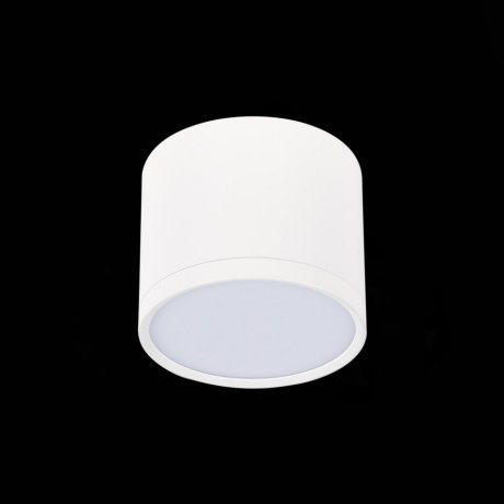 Светильник потолочный ST-Luce ST113.532.09