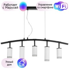 LR7353638620 Подвесной светильник Rullo Lightstar с поддержкой Маруся (комплект из 571735+214436-3+214486-2+202430-5)