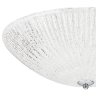 Потолочный светильник Lightstar с поддержкой Маруся Zucche 820840