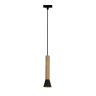 Подвесной светильник с лампочкой Favourite Piffero 2984-1P+Lamps Gu10