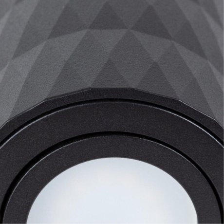 Накладной светильник Arte Lamp Fang A5559PL-1BK