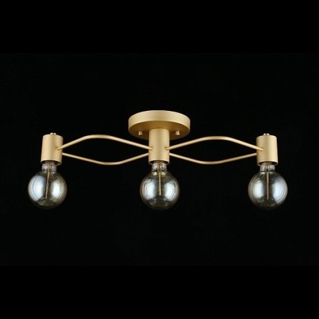 Потолочный светильник Aployt Elison APL.911.07.03