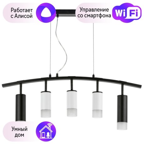 LR7358723631 Подвесной светильник Rullo Lightstar с поддержкой Алисы, (комплект из 571735+214436-3+214487-2+202431-5)