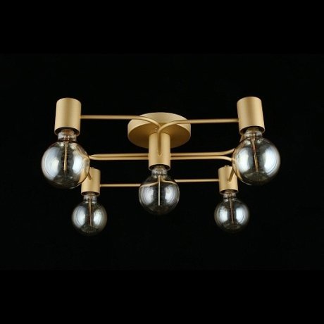 Потолочный светильник Aployt Elison APL.911.07.05