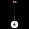 Светильник подвесной ST-Luce Bopone SL1133.233.01