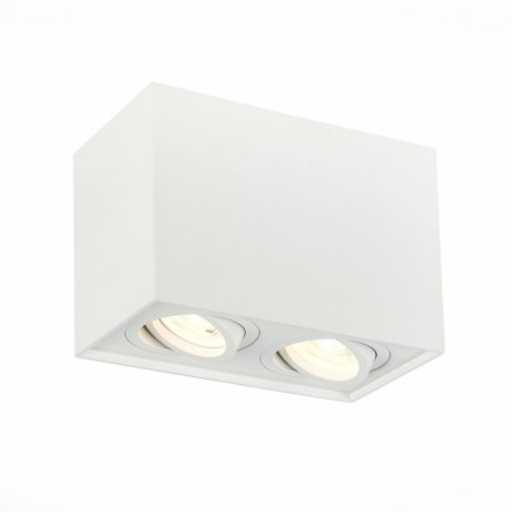 Накладной точечный поворотный светильник ST-Luce ST109.507.02