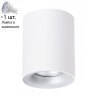 Светильник с лампочкой Arte Lamp Torre A1532PL-1WH+Lamps Gu10