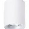 Светильник с лампочкой Arte Lamp Torre A1532PL-1WH+Lamps Gu10