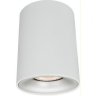 Светильник с лампочкой Arte Lamp Torre A1532PL-1WH+Lamps Gu10
