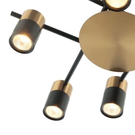 Потолочная люстра Favourite Topper с поддержкой Алиса 2825-8P-A