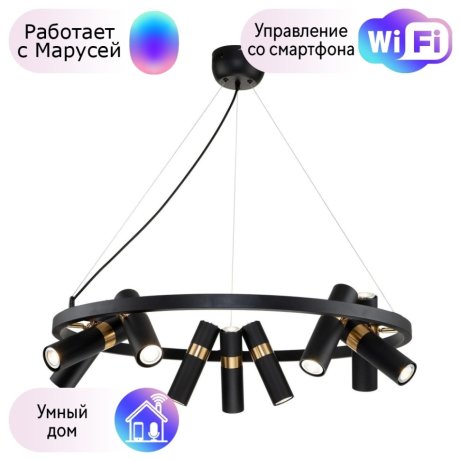 Подвесная люстра Favourite Light point с поддержкой Маруся 2997-9P-М