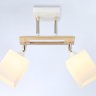 Потолочный светильник Traditional Ambrella light TR9501