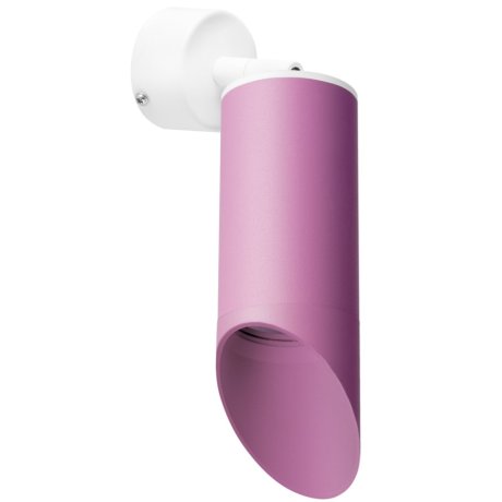 Настенный светильник Lightstar Rullo RB43232