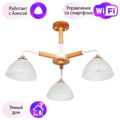 Потолочная люстра с поддержкой Алисы, комплект от Lustrof №257638