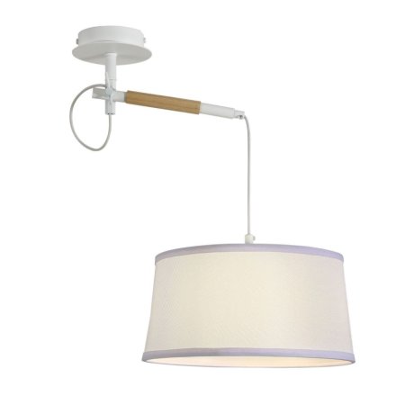 Настенно-потолочный светильник с лампочкой  F-Promo Eureka 3005-1P+Lamps А60