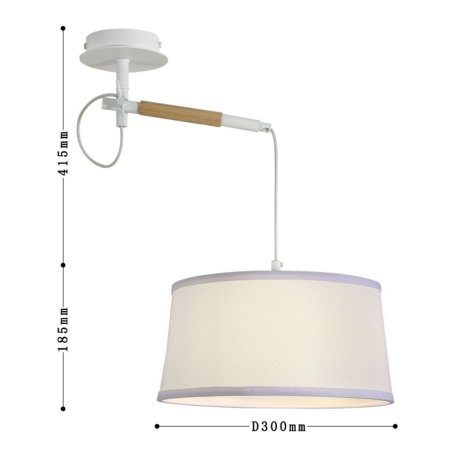 Настенно-потолочный светильник с лампочкой  F-Promo Eureka 3005-1P+Lamps А60