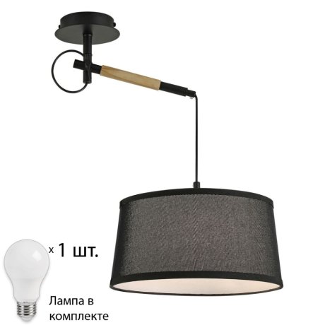 Настенно-потолочный светильник с лампочкой F-Promo Eureka 3006-1P+Lamps А60