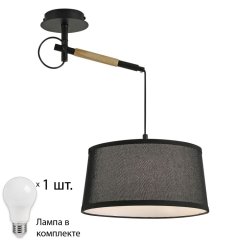 Настенно-потолочный светильник с лампочкой F-Promo Eureka 3006-1P+Lamps А60
