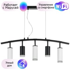 LR7353728630 Подвесной светильник Rullo Lightstar с поддержкой Маруся (комплект из 571735+214437-2+214486-3+202430-5)