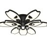 Потолочная светодиодная люстра с ПДУ (Радио 2.4G) Ambrella light Original FA581 (00-00003367)