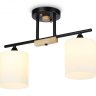 Потолочный светильник Traditional Ambrella light TR9543