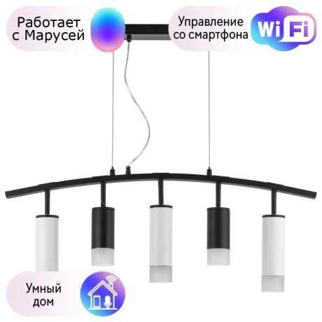 LR7353728631 Подвесной светильник Rullo Lightstar с поддержкой Маруся (комплект из 571735+214437-2+214486-3+202431-5)