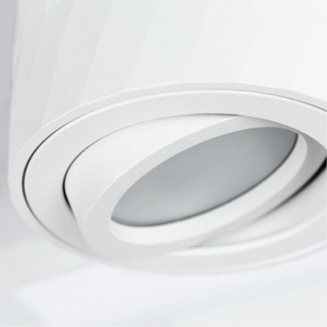 Накладной светильник Arte Lamp Fang A5559PL-1WH