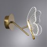 Бра бабочка Arte Lamp Darcy A2187AP-1GO