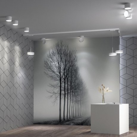 Однофазный LED светильник на подвесе 30W 4000К для трека Prometa Novotech 358767