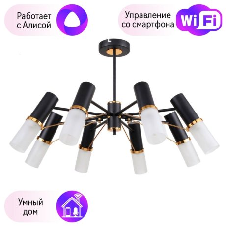 Люстра на штанге F-Promo Viator с поддержкой Алиса 2558-8P-A