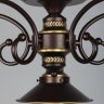 Потолочная люстра Omnilux Fontelo OML-50407-05