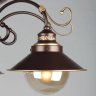 Потолочная люстра Omnilux Fontelo OML-50407-05