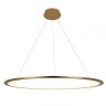 Светильник подвесной светодиодный LOFTIT Ring 10014XL
