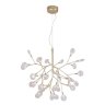 Подвесная люстра Crystal Lux с поддержкой Алиса EVITA SP36 GOLD/TRANSPARENT-А