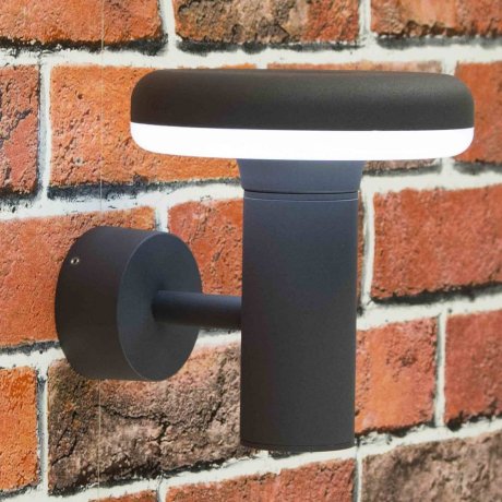 Уличный настенный светодиодный светильник Citilux Clu01W