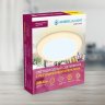 Встраиваемый cветодиодный светильник с регулируемым крепежом и подсветкой Ambrella light Downlight DCR307