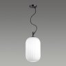 Светильник с лампочкой Odeon Light Roofi 4751/1+Lamps