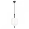 Подвесной светодиодный светильник Loft IT Venice 10223/D White