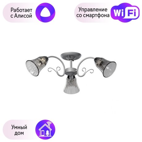 Потолочная люстра De Markt Моника с поддержкой Алиса 372014903-A