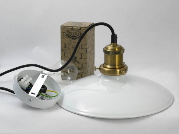 Подвесной светильник Lussole Loft IX LSP-9605