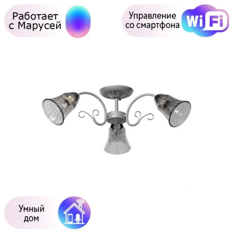 Потолочная люстра De Markt Моника с поддержкой Маруся 372014903-М