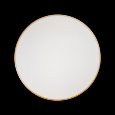 Потолочный светодиодный светильник Axel Loft It 10001/36 Yellow