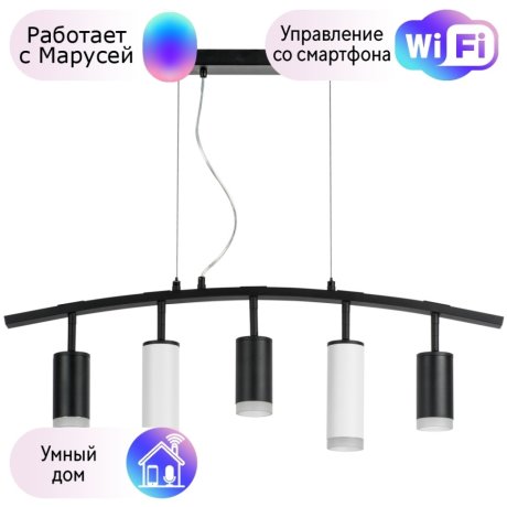 LR7353738620 Подвесной светильник Rullo Lightstar с поддержкой Маруся (комплект из 571735+214437-3+214486-2+202430-5)