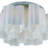 Потолочная люстра ST Luce Onde SL117.502.06