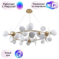 Подвесная люстра F-Promo Bliss с поддержкой Маруся  2771-12P-М