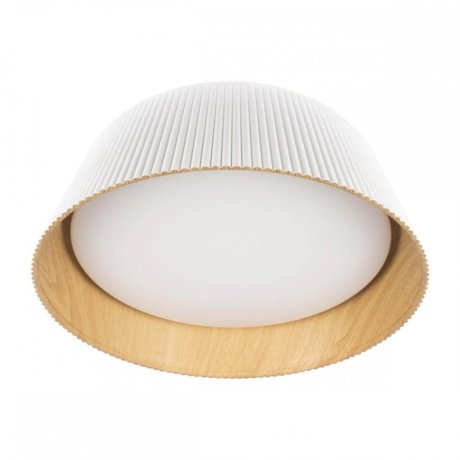 Потолочный светодиодный светильник Loft IT Evans 10224 White