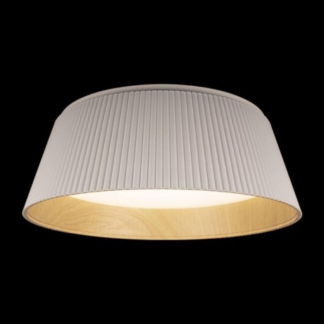 Потолочный светодиодный светильник Loft IT Evans 10224 White