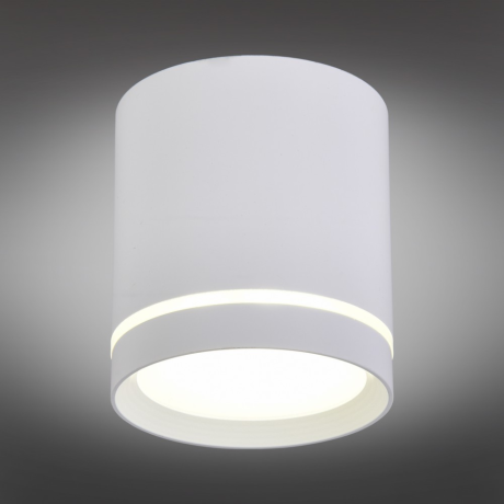 Накладной светодиодный светильник Omnilux Capurso OML-102409-05