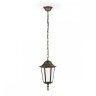 Уличный подвесной светильник Ambrella light Street ST2031
